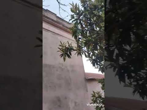 estancia  antigua don pancho uruguay lavalleja🇺🇾🇺🇾🇺🇾🇺🇾🇺🇾🇺🇾🇺🇾🇺🇾🇺🇾🇺🇾🇺🇾🇺🇾🇺🇾