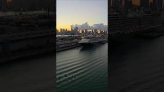 BEAUTIFUL MIAMI AND ZUIDERDAM🌇 #hollandamerica #miami #traveling
