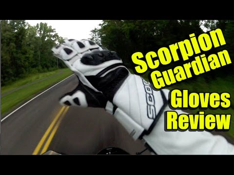 Scorpion Guardian Gloves Review - Budget Leather Gauntlet Motorcycle Gloves