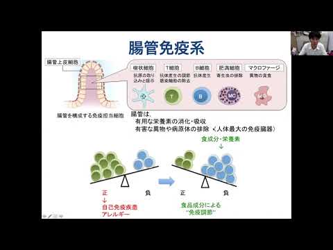 食品の免疫調節機能について