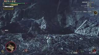 [モンハンワイルズ]　いっしょに朝活しませんか？