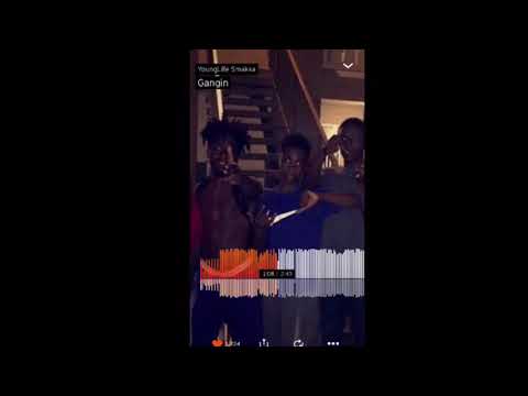YoungLife Smakka - Gangin’
