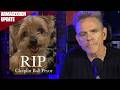 RIP Chaplin Ball Pryor | Armageddon Update #pets