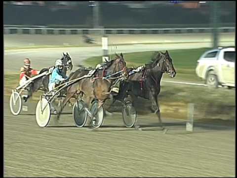 Trotto 20/12/2016 - 8ª corsa