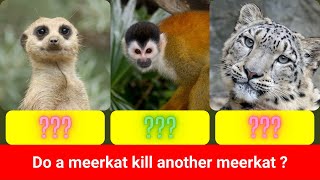 Animals that kill their own kind || தான் தன் இனத்தையே கொள்ளும் உயிரினங்கள் || Comparison videos