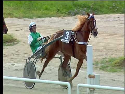 Trotto 14/06/2018 - 7ª corsa