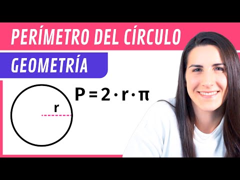 PERIMETER of the CIRCLE ⭕ Plane Figures