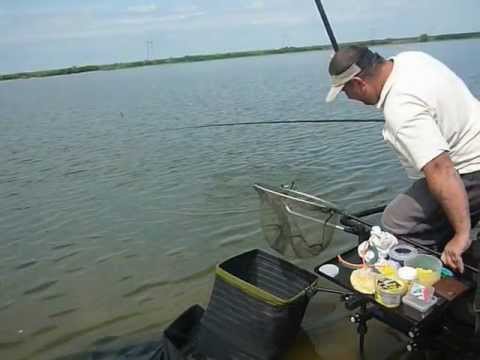 Mozacu CRAP  ELIBERAT