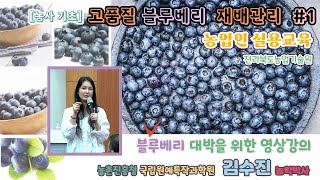 [농사기초] 고품질 블루베리 재배기술 #1_/ 해외 및 국내 블루베리 산업 현황 - 블루베리 가격,유통,재배…