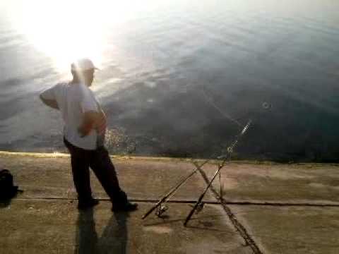 la peste la stoenesti