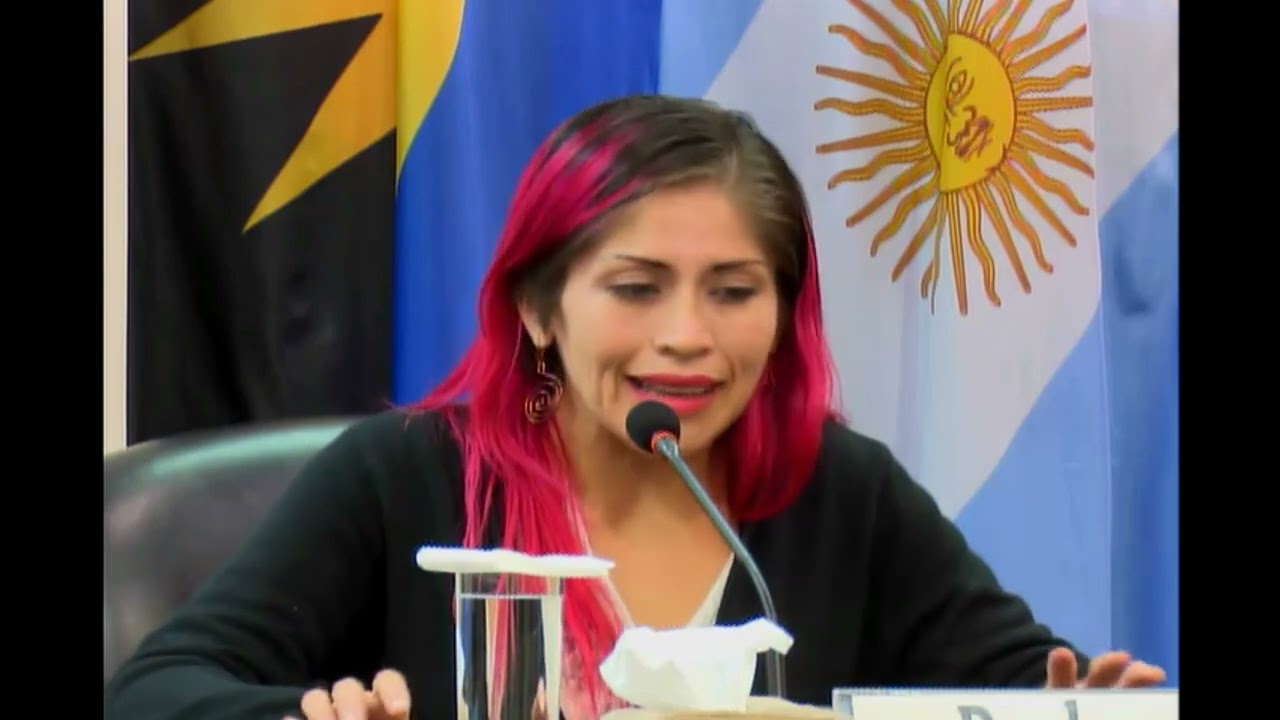 Audiencia Pública Caso Selvas Gómez y otras Vs. México Parte 3. 2017