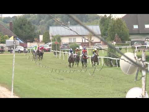 BR, 5. 10. 2019, 8. dostih - CENA