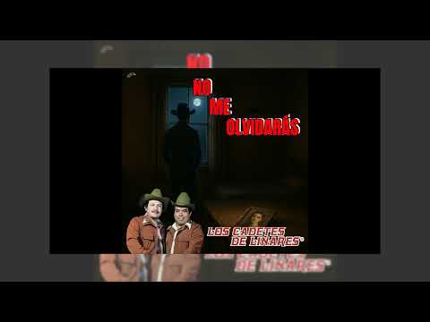 Miniatura de No Me Olvidar&aacute;s