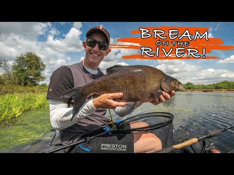The Key To Your Best Ever Bream Session! | Lee Kerry