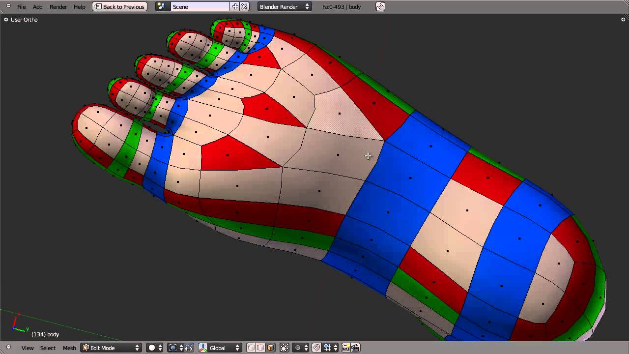 Blender Topology Collection: Foot overview