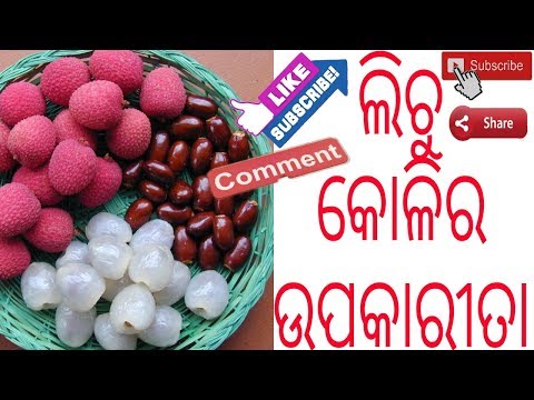 ଲିଚୁ କୋଳିର ଉପକାରିତା,Benefits of Lychee in odia,Health benefits of Litchi fruit and seeds in odia Video