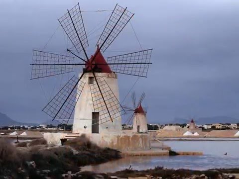 A Rose among thorns   Mission