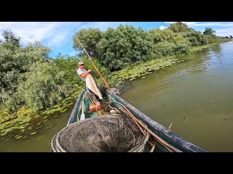 Pescuitul comercial - O zi din viața unui pescar din Delta Dunării | Unealta de pescuit VINTIRUL