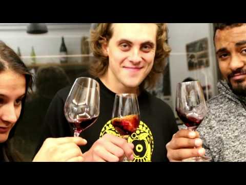 IAESTE Pilsen 2018/2019