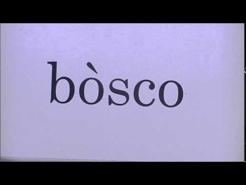 come si pronuncia la parola bosco