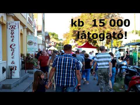 2024 TápióFeszt led fal hirdetés