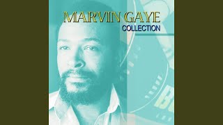 Medley : Ain't nothing like the real thing / Your precious love / Love twins / If this world...