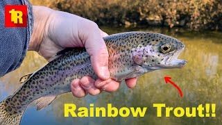 Winter Suburban Trout Fishing Using The 1995 GMC Suburban!!