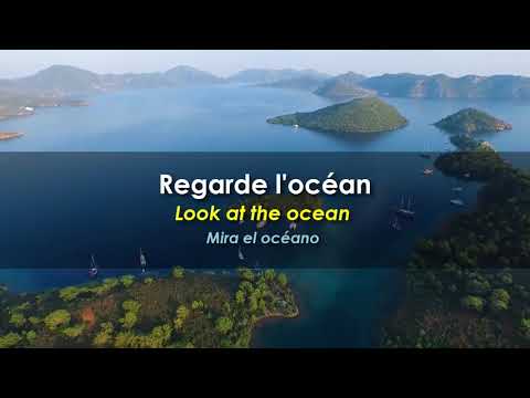 Desireless - Voyage Voyage (English and French subtitles)