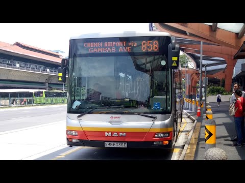 SMB8036E, MAN NG363F A24 onboard SMRT (Tower Transit) Service 858, dual highway transfer