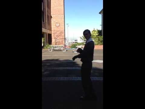 The Death of Phar Lap