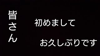 お久しぶりです。乃木恋実況再開しました。