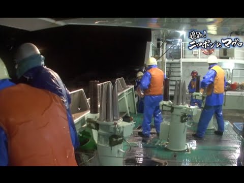 長さ116メートルのマグロ引き網冷凍庫:セーシェルのラルバトゥン・ドス