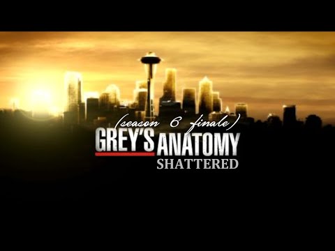 Grey's Anatomy season finale [6x23- 6x24]- Tribute