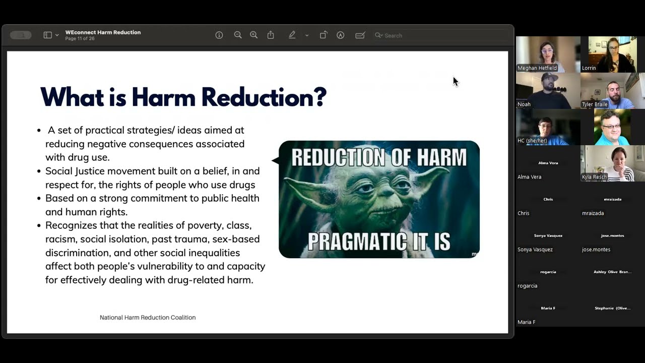 WESUPPORT Harm Reduction Webinar