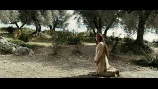 One Child-The Nativity Story