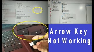 Mouse, Touchpad, Keyboard Arrow Key Not Working Windows 10 and windows 11 [7 Easy Ways] Fixed