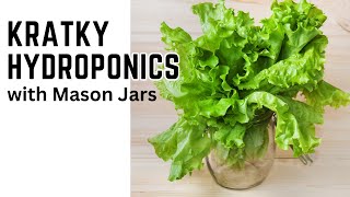 Thumbnail for video: Mason Jar Kratky Method: A Simple, Inexpensive Hydroponics DIY