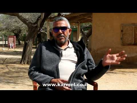 היופי של המדבר מתחיל בחאן ספינת המדבר