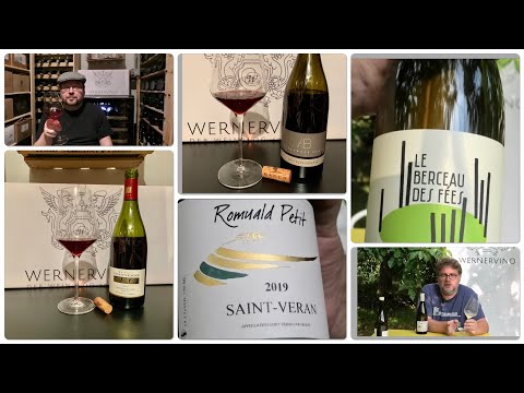 Folge 955 Weinspontis - kantiger Pinot,schlanker Chardonnay, runder Pinot, vielfältiger Chenin Blanc