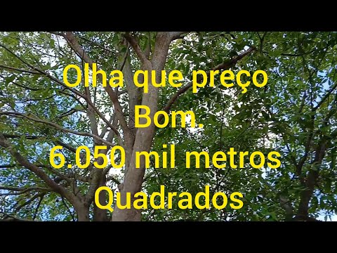 Olha a oportunidade surgindo. 23 mil 87981363923. Serrolandia-Ipubi-Pe.