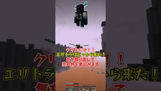 【マイクラ】最狂のデバフ吐き気∞vsウィザー【ゆっくり実況】