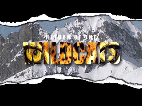 Return of the Wildcats | Wildcats (2001)