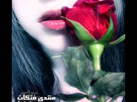 عمار الديك على ورق الورد♥ ♥laith arar.: