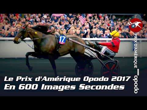 Le Prix d’Amérique Opodo 2017 en 600 images secondes