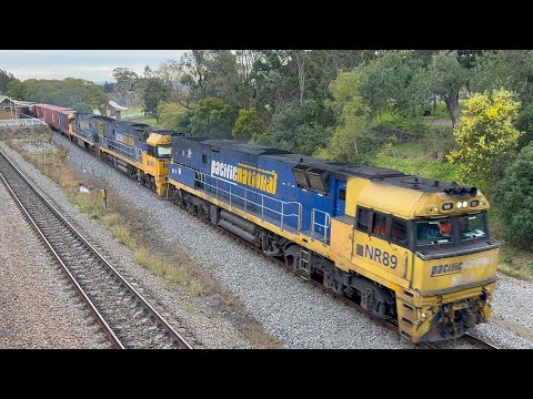 Pacific National’s NR89, NR96 & NR9 with 2BM4 at East Maitland - 8/7/25