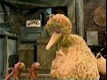 Sesame Street Not A Banana English