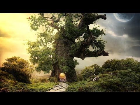 Sbvce X Baegod X Tynethys - City Of Trees (Prod. Sbvce) / Free Download