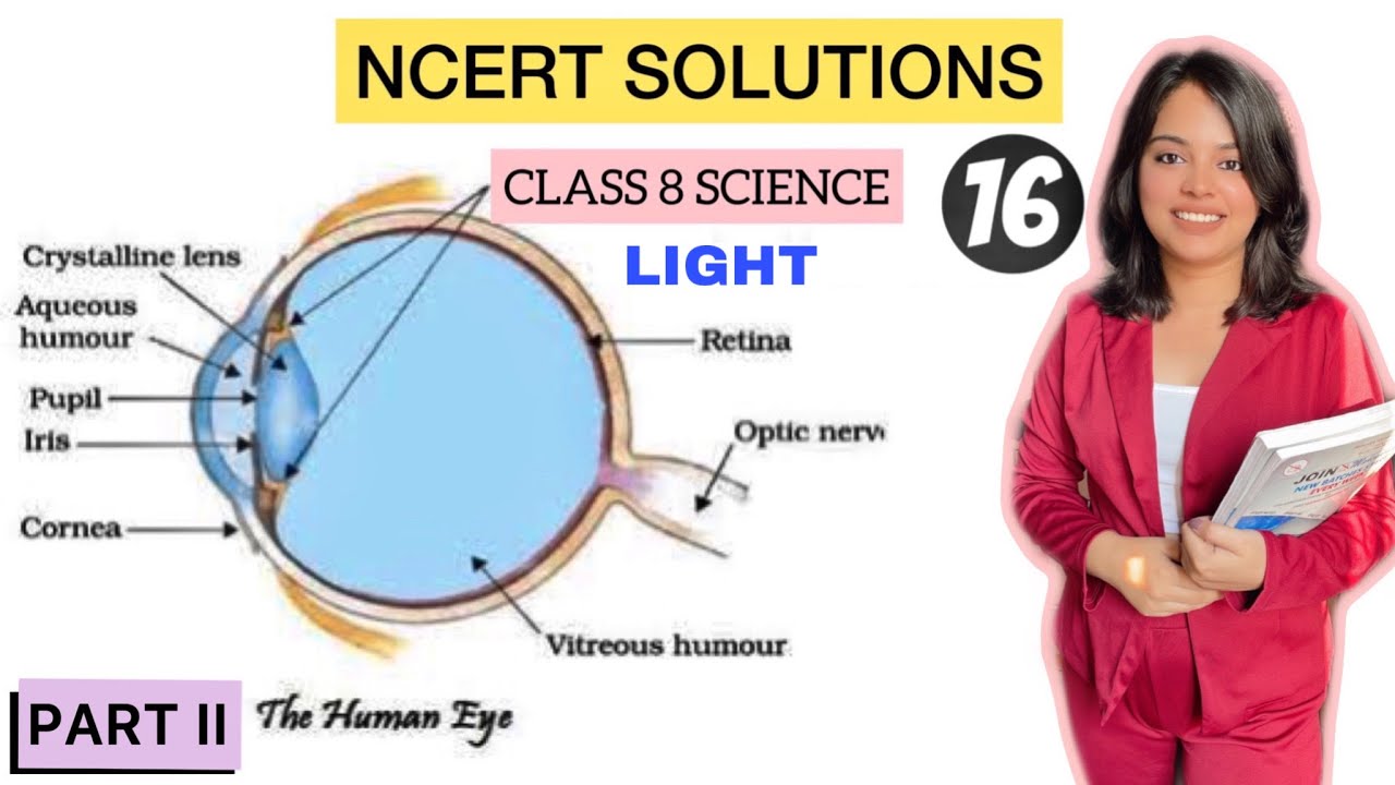 NCERT Solutions Class 8 Science Chapter 16: Light