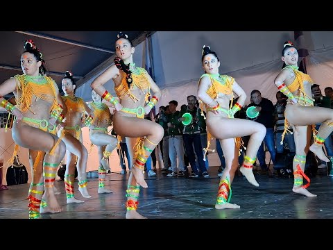 Vai Quem Quer - Viradouro 2024 @41° Aniversário Gres Charanguinha 2025 @PlaytekTv