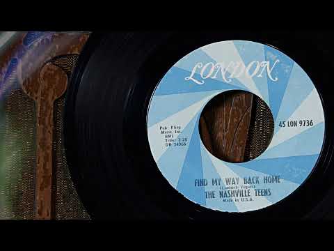 The Nashville Teens - Find My Way Back Home  ...1965